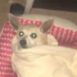 Meet your Posher, Kendra